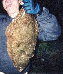 ヒラメ65cm