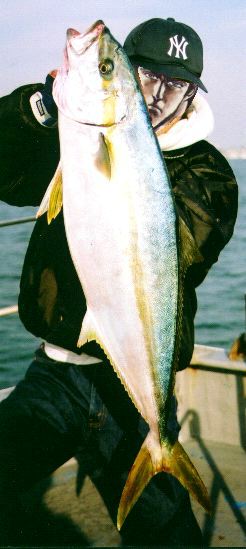 q}T10kg
