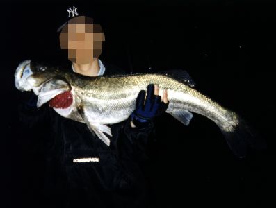 95cm